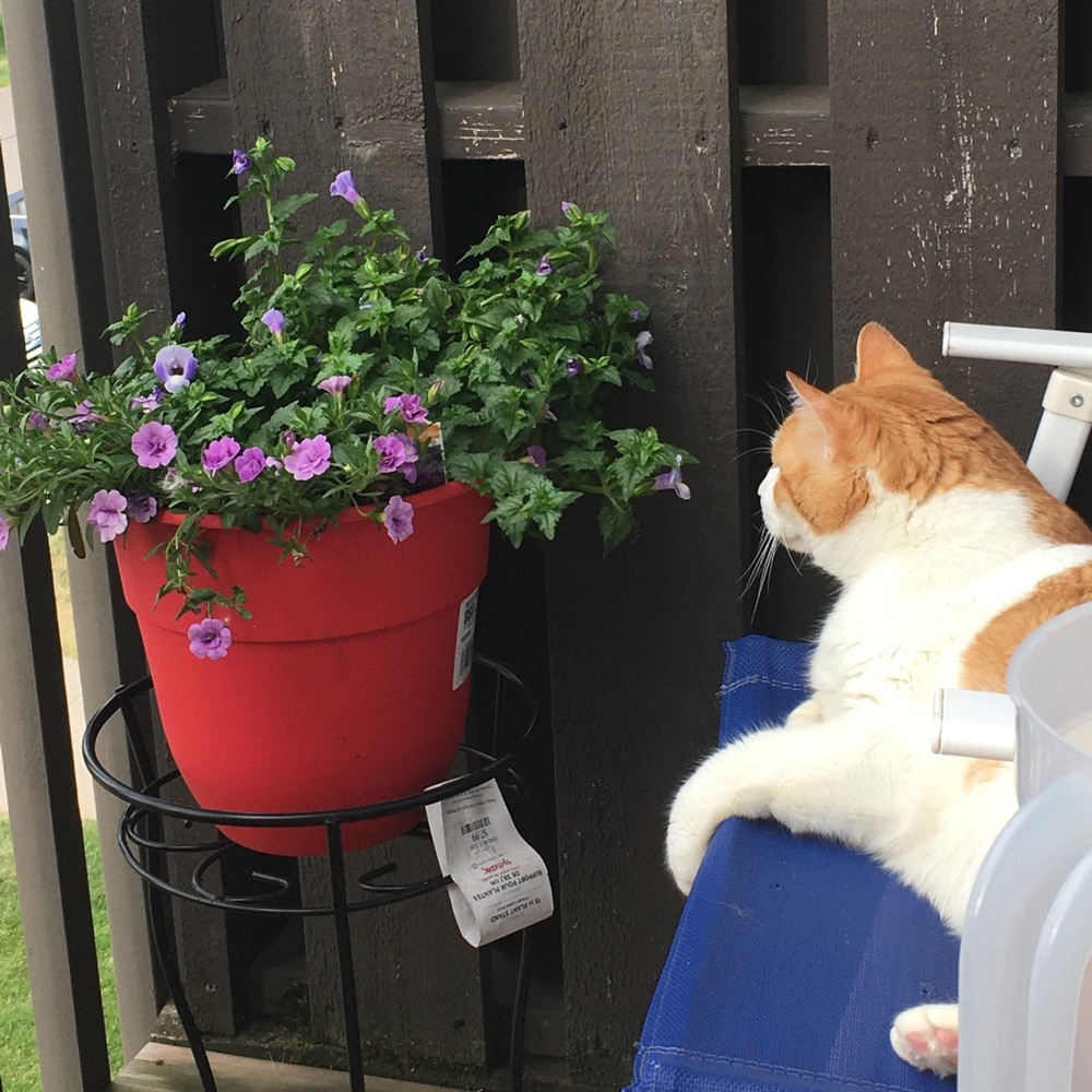 Meet your Posher, Chelsey